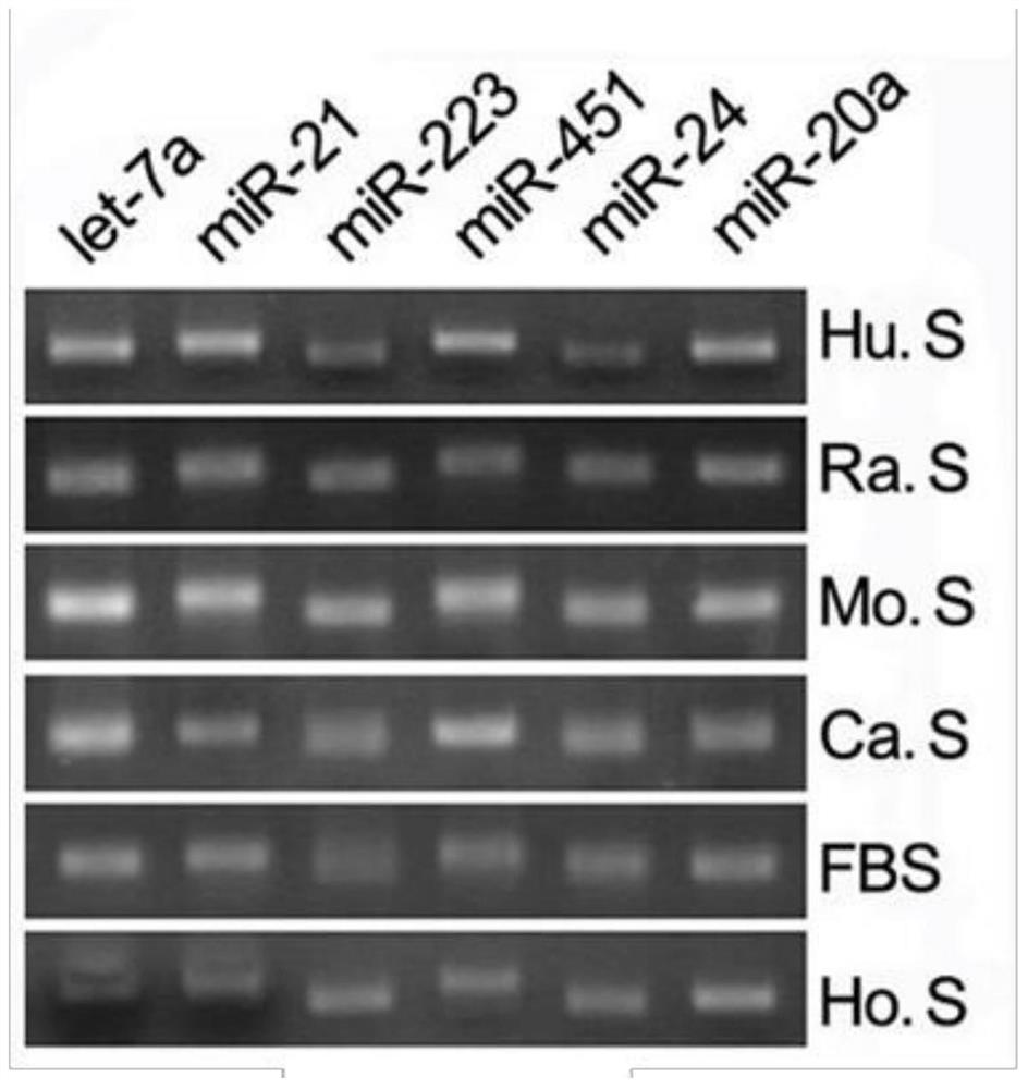 Non-small cell lung cancer markers, detection methods and applications thereof