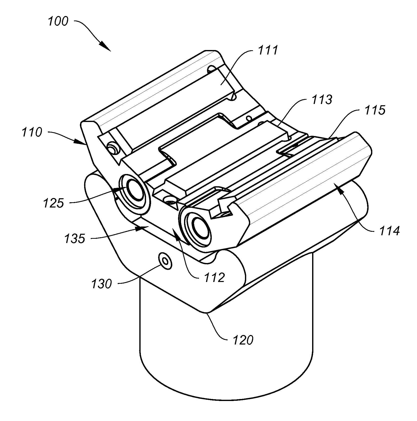 Variable diameter pipe clamp apparatus and torque module therefor