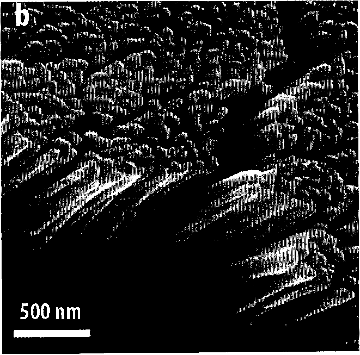 Preparation method for TiO2 nanometer rod array of dye sensitized solar cell