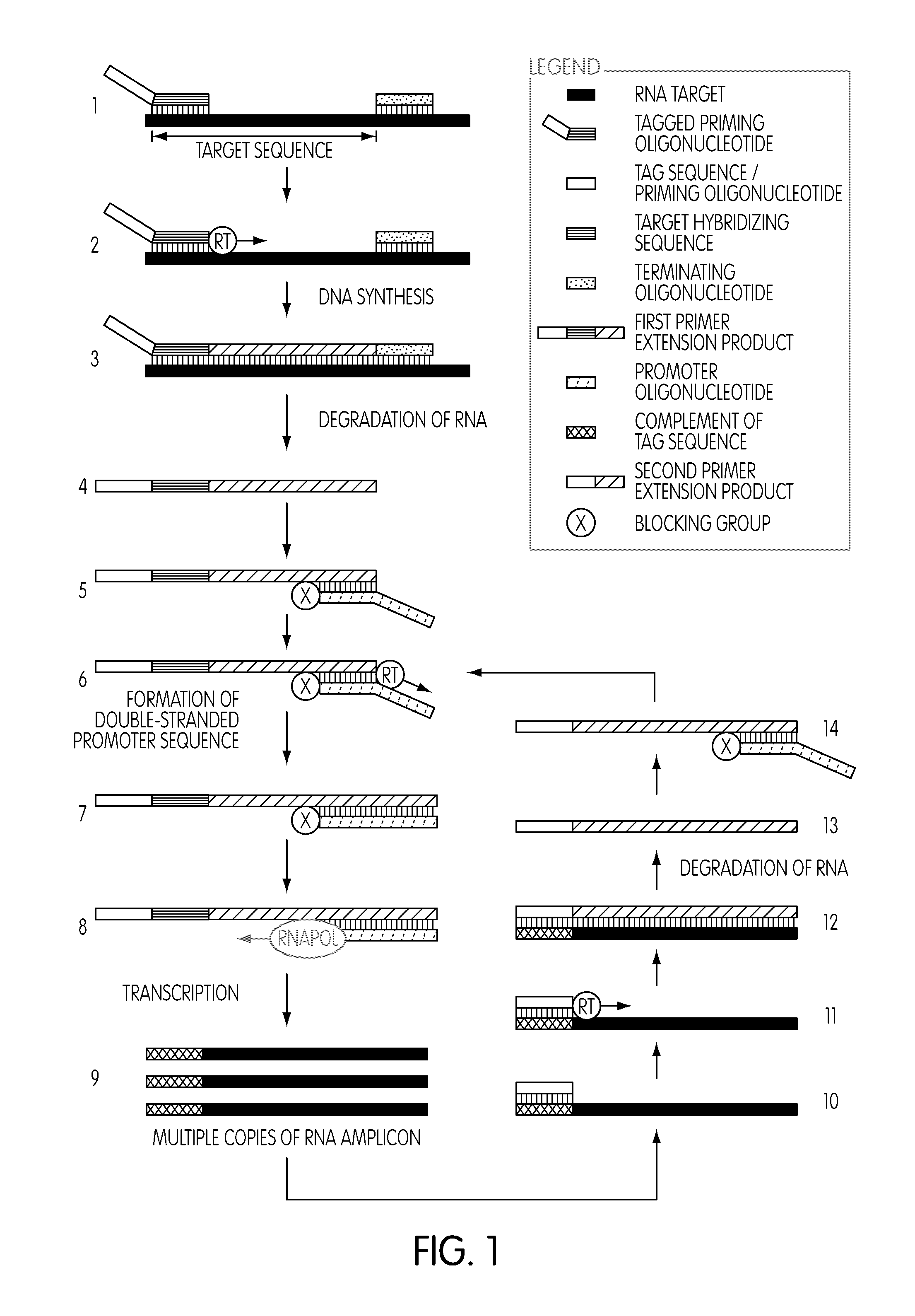 Methods and kits for use in the selective amplification of target sequences
