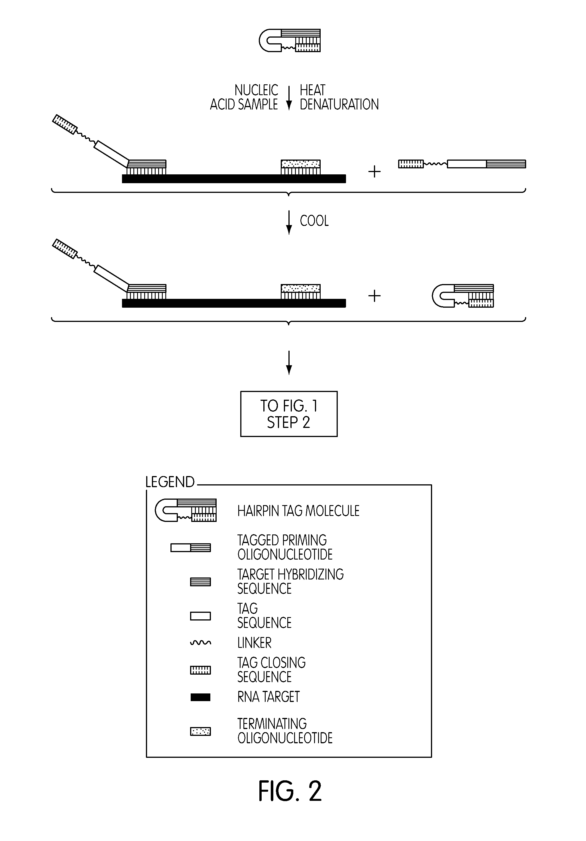 Methods and kits for use in the selective amplification of target sequences