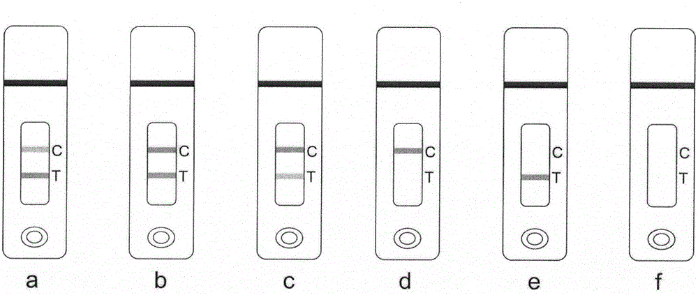 Colloidal gold test strip for detecting methyltestosterone residue