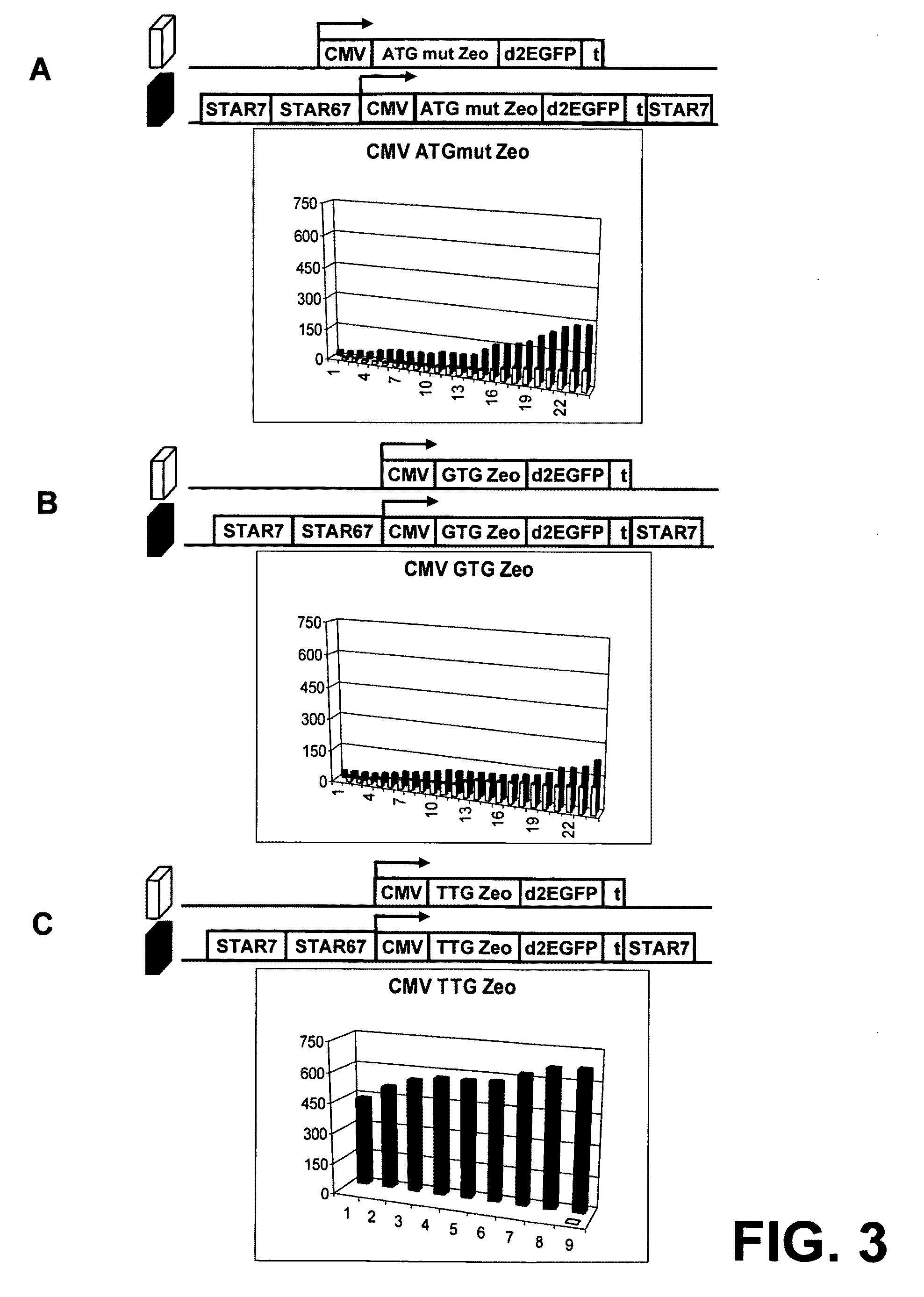 Selection of host cells expressing protein at high levels