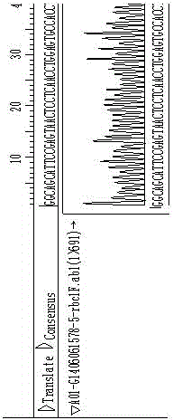 DNA bar code technology for identifying rosewood and rosewood product, and application method thereof