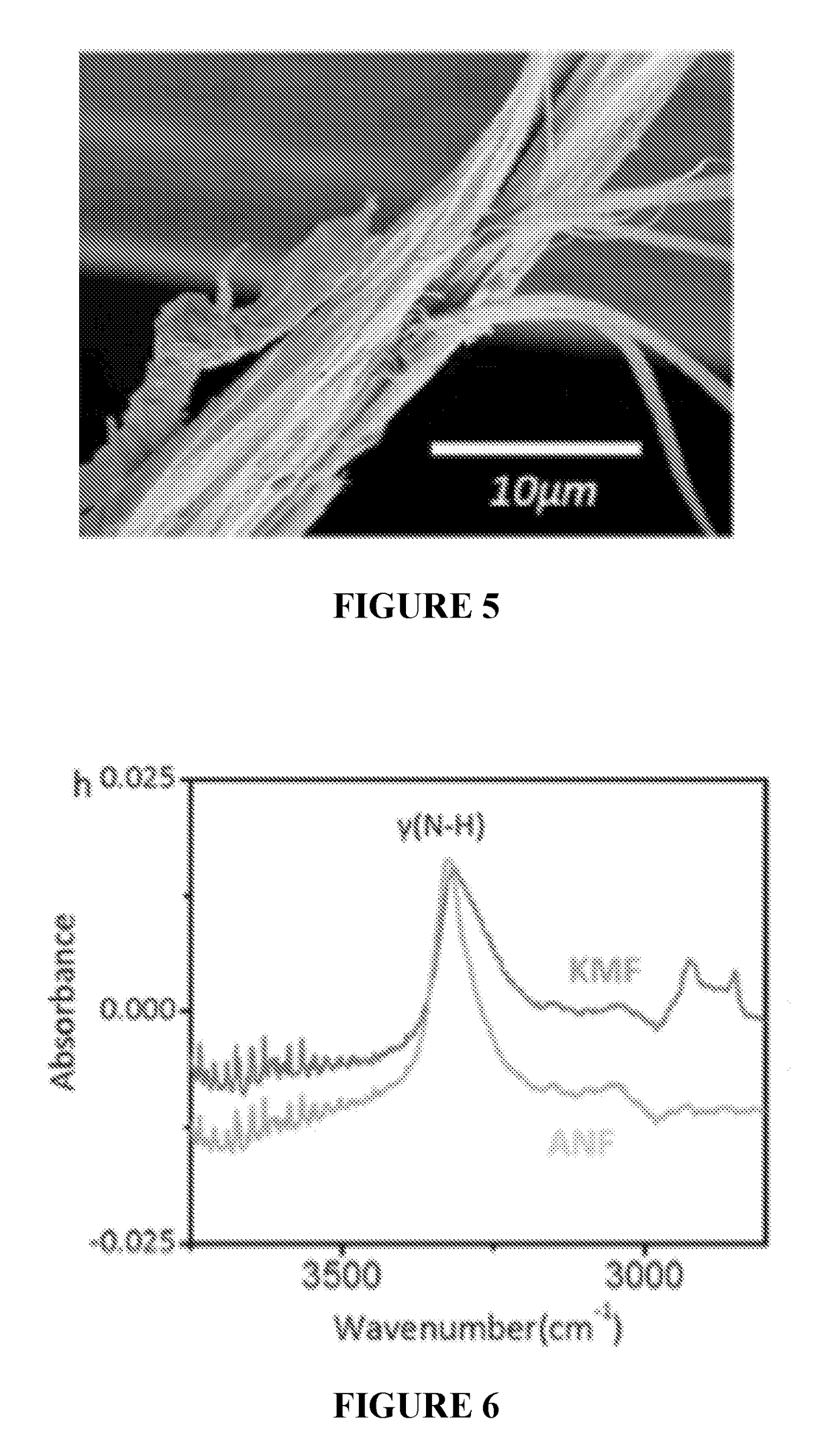 Gels and nanocomposites containing anfs