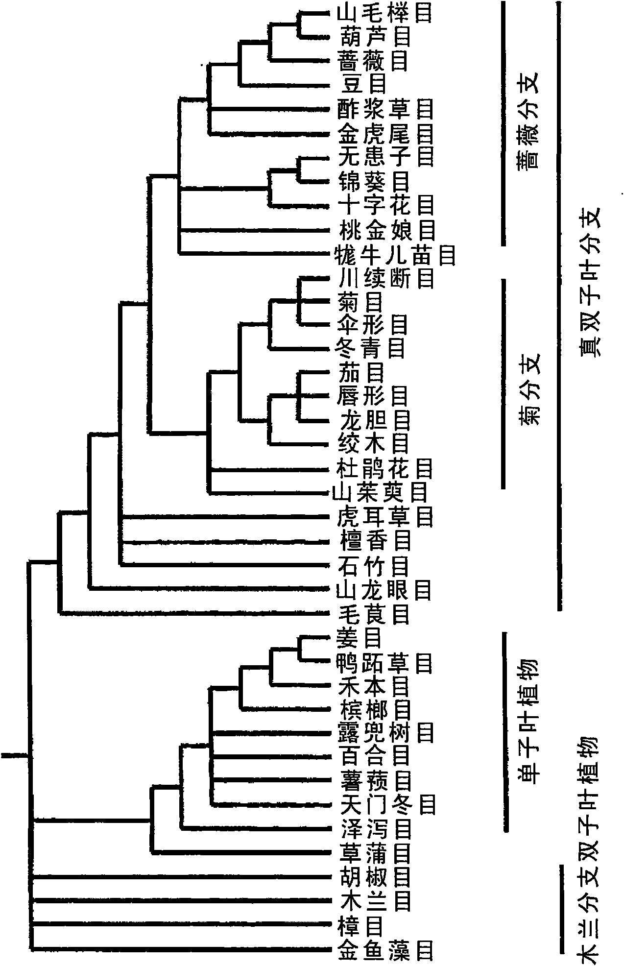 Water deficit-inducible promoters