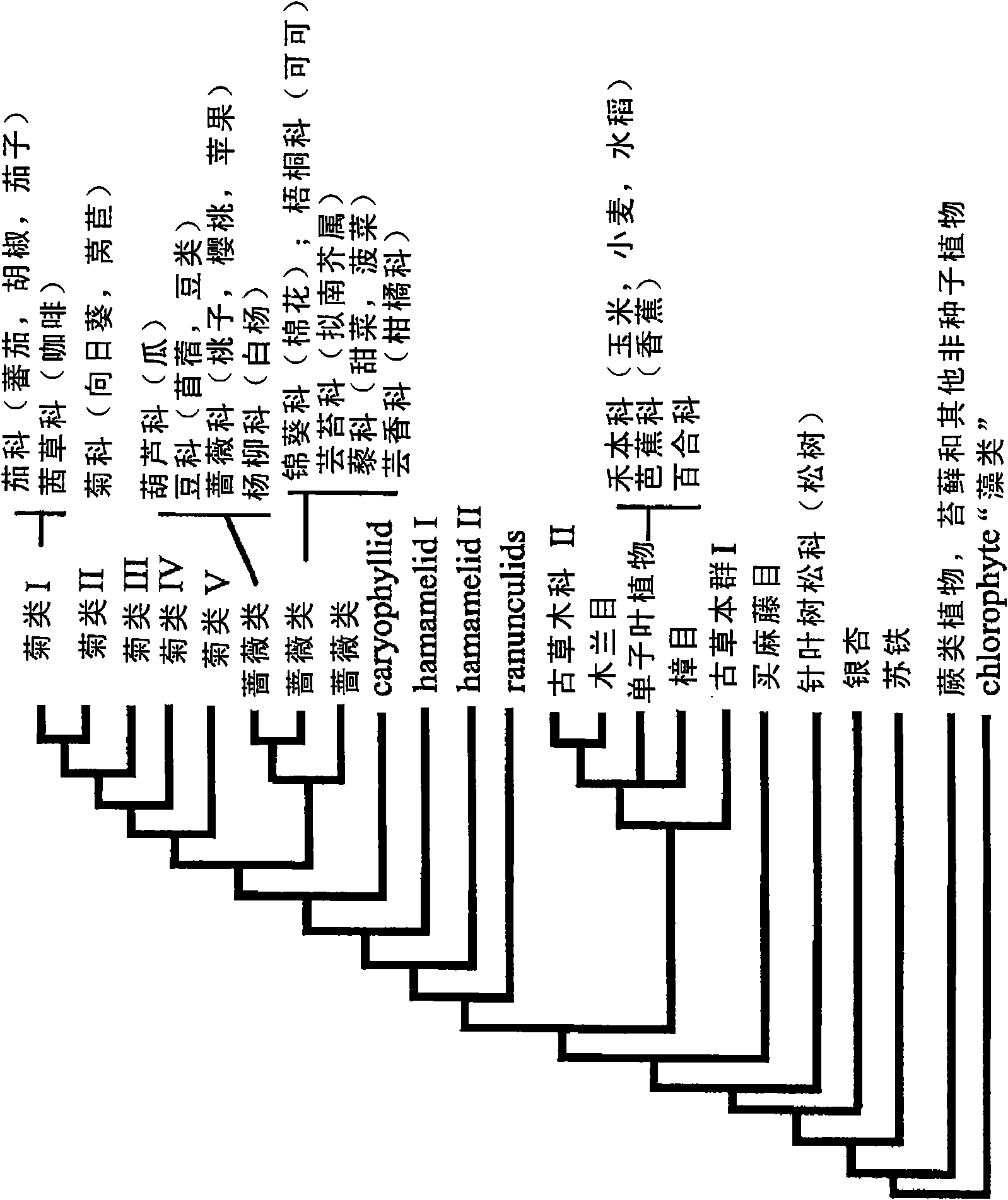 Water deficit-inducible promoters