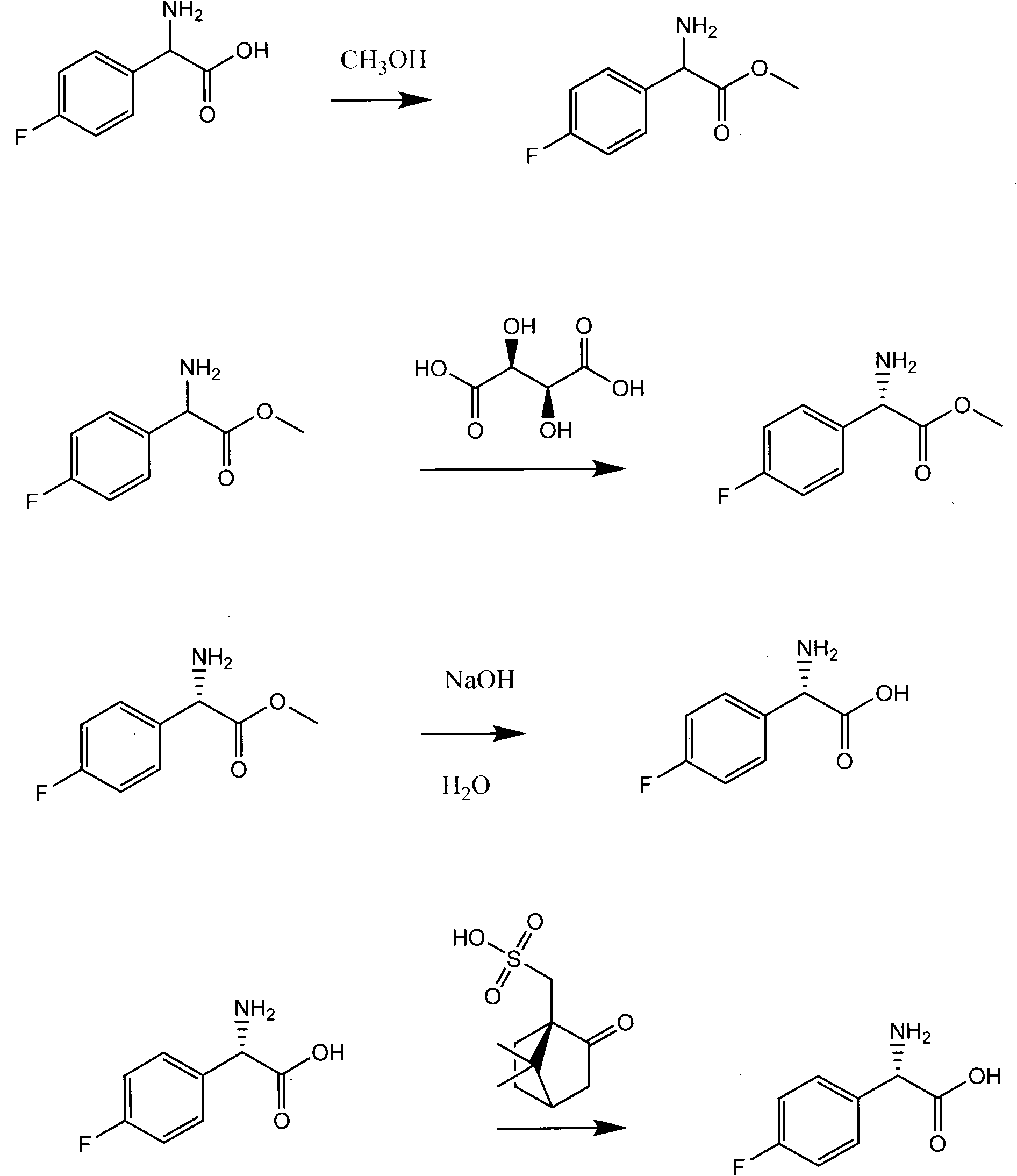 Preparation method of L(+)-p-fluorophenyl glycine