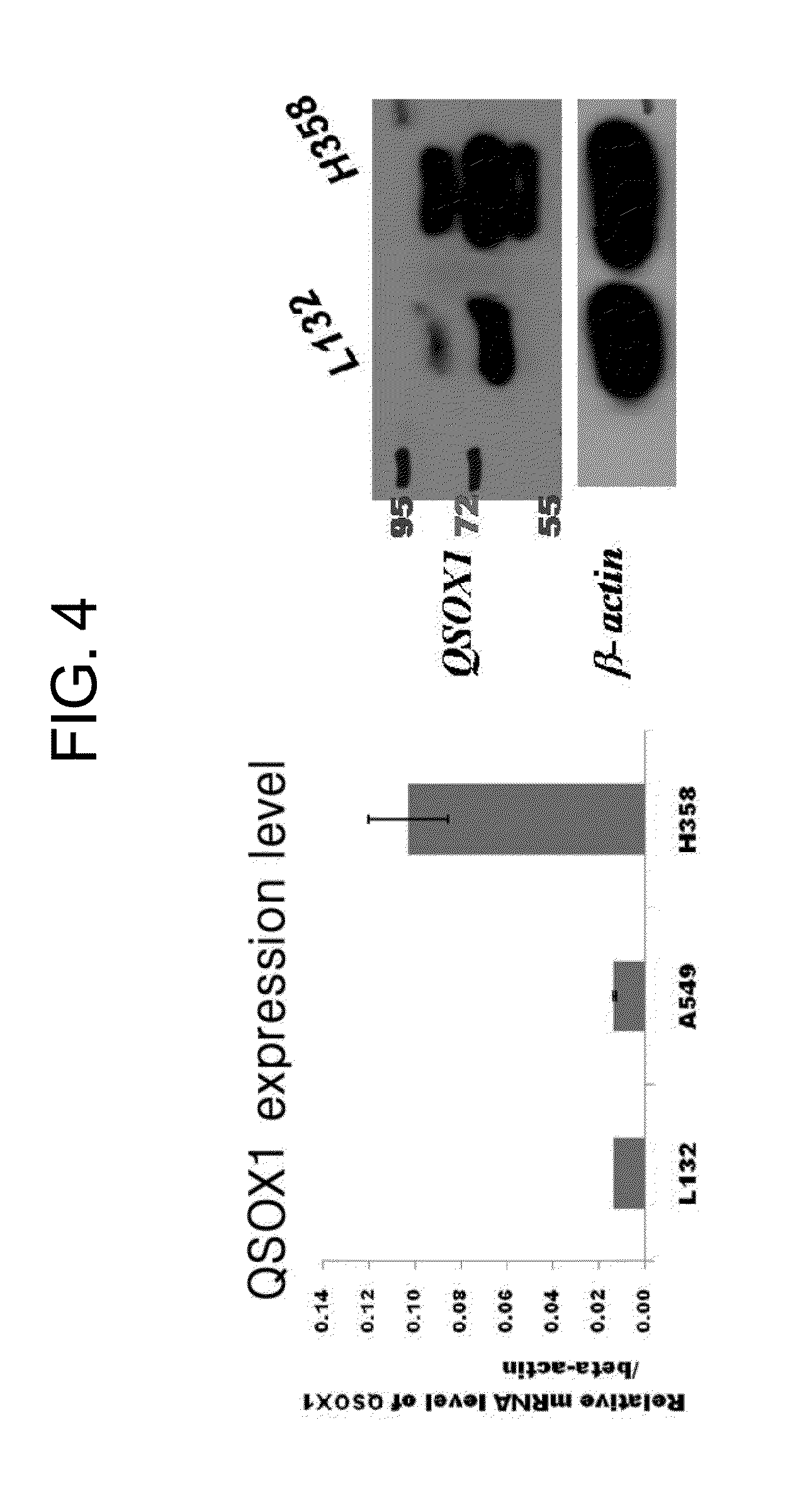 Composition for diagnosis of lung cancer and diagnosis kit of lung cancer