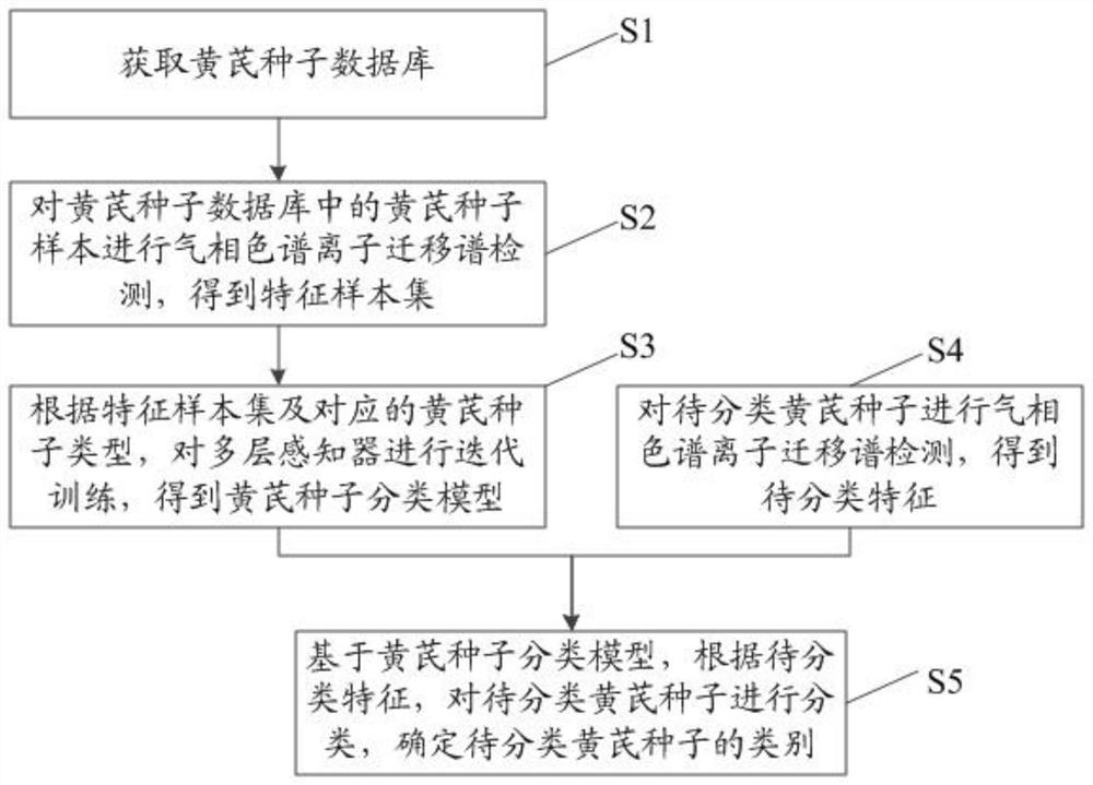 Astragalus membranaceus seed classification method and system