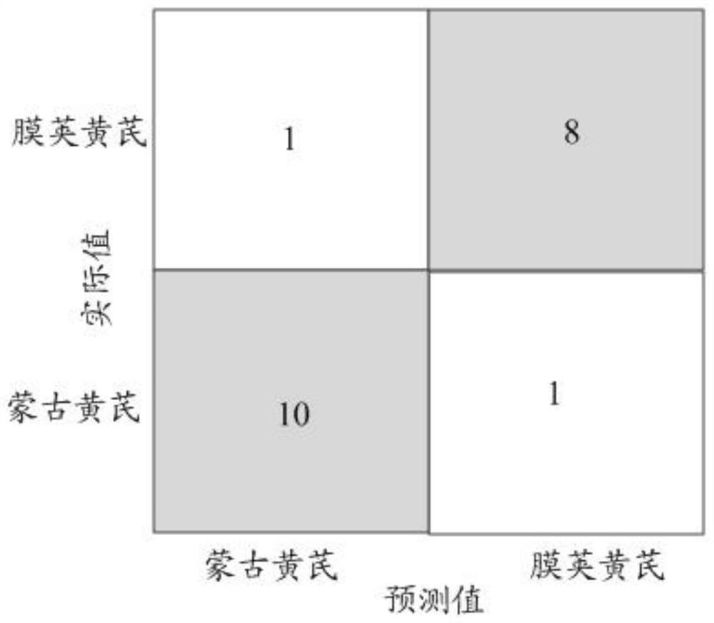 Astragalus membranaceus seed classification method and system