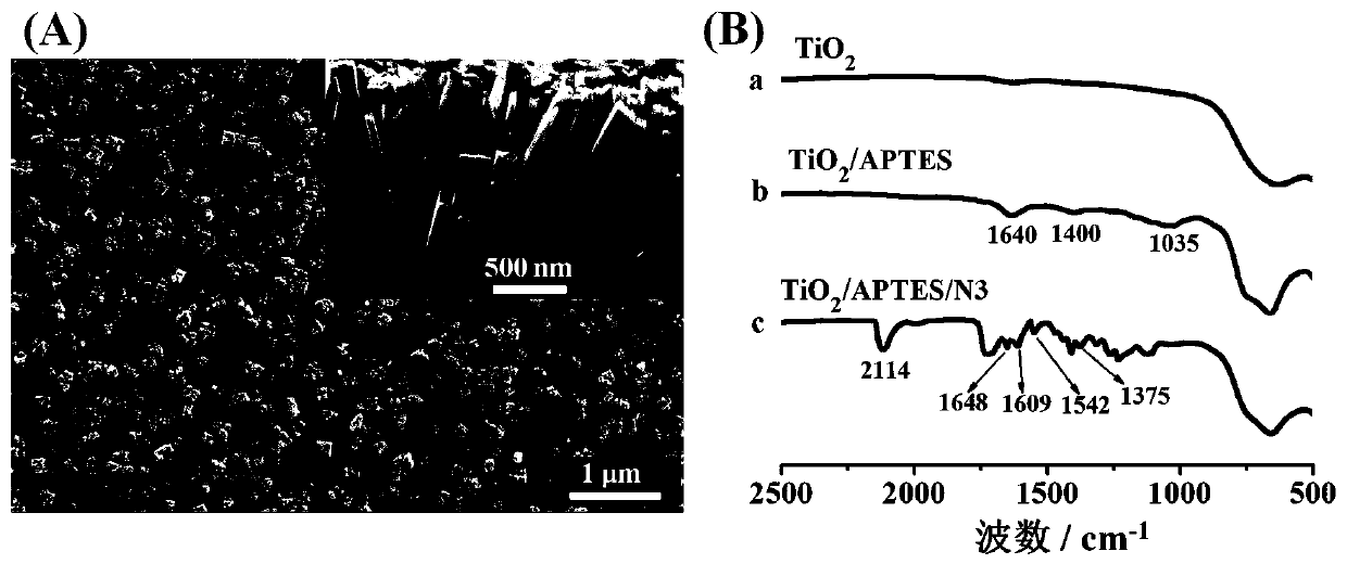 Mercury ion photoelectrochemical sensor working electrode and its preparation method and application