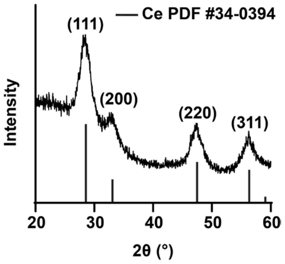 Application of cerium oxide nano-enzyme with active oxygen scavenging capacity in treatment of alopecia