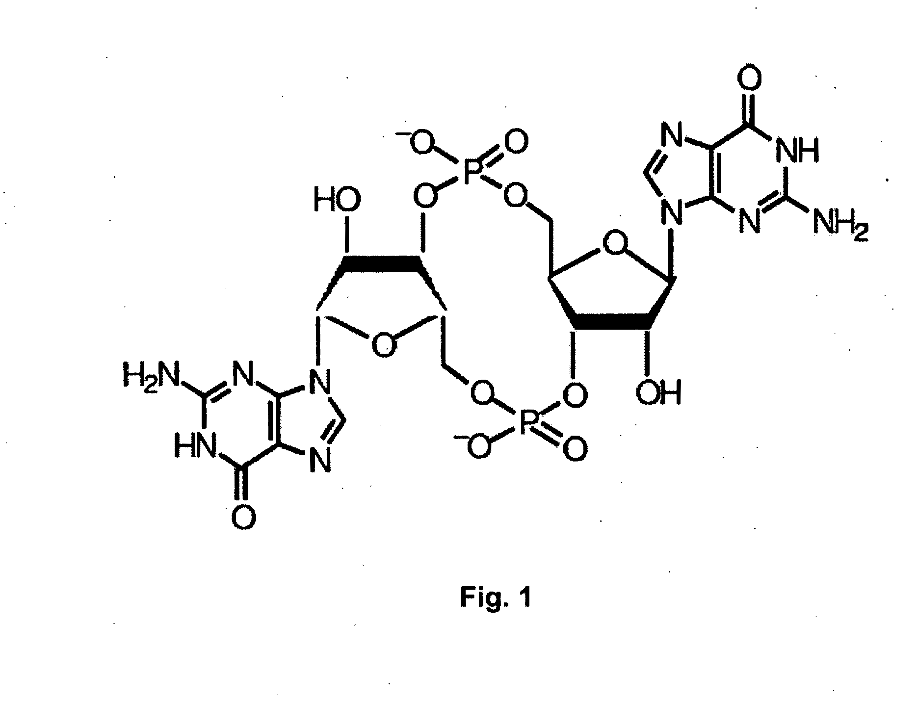 Method for producing multiple modifications in the chromosome of gram-negative bacteria and salmonella strains which are deficient in c-di-GMP synthesis obtained by said method