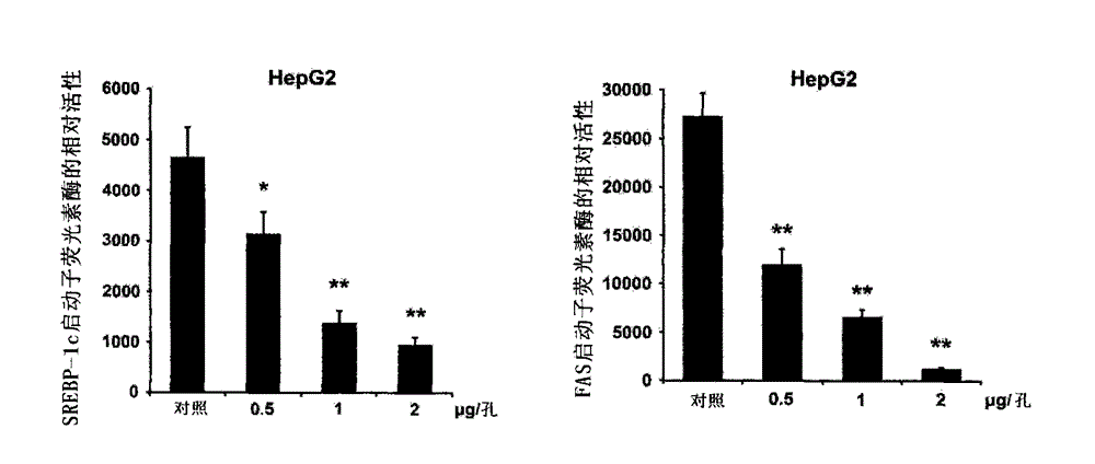 Anti-fatty acid synthetase polypeptide and its application