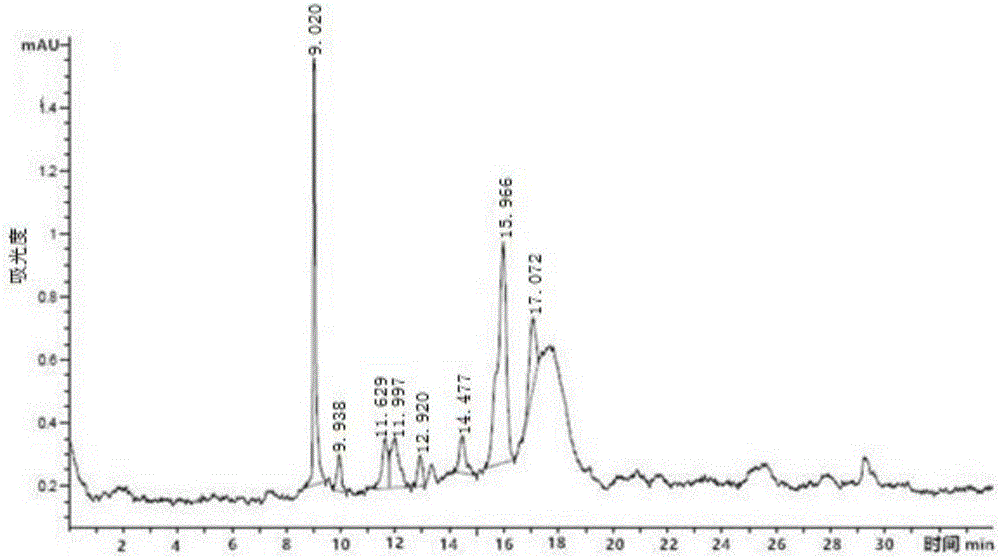 Fusarium endophytic fungus with huperzine-A-producing function and application thereof
