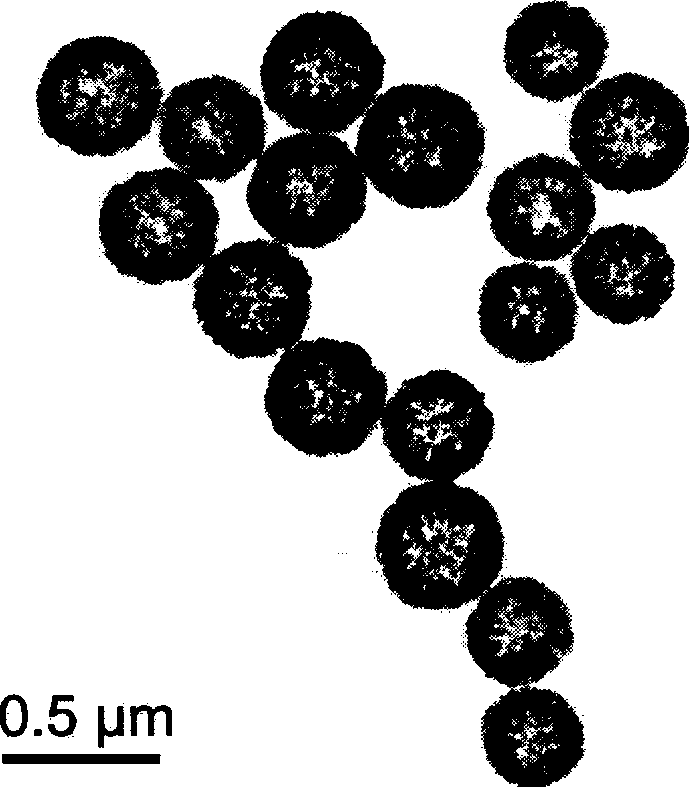 Method for preparing low-toxicity marine antifouling paint by applying Cu2O submicrospheres