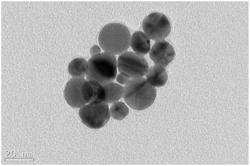 A method for evaluating cell damage from smoke exposure using hyaluronic acid-coated gold nanoparticles