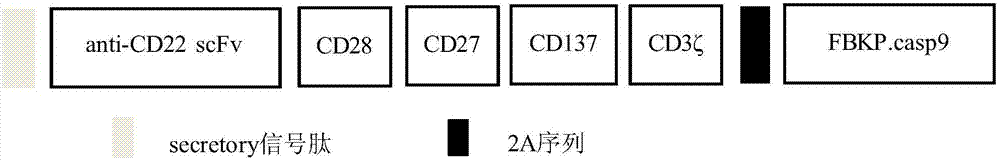 Embedded antigen receptor based on CD22 and application thereof