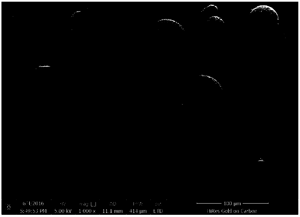 Traditional Chinese medicine embolization microspheres used for interventional treatment of liver cancer at middle and advanced stages and preparation method of traditional Chinese medicine embolization microspheres