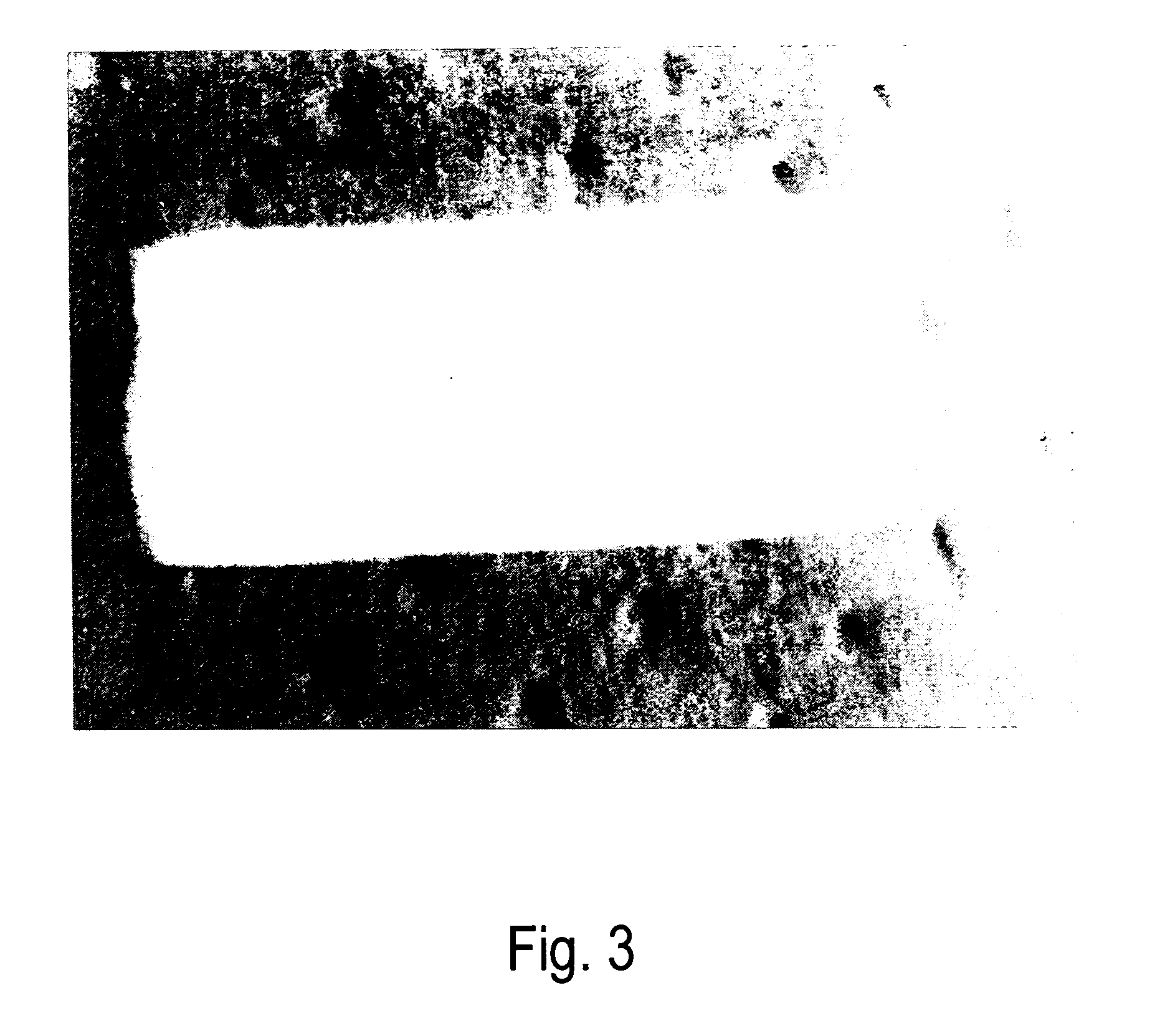 Crosslinked elastin and process for producing the same