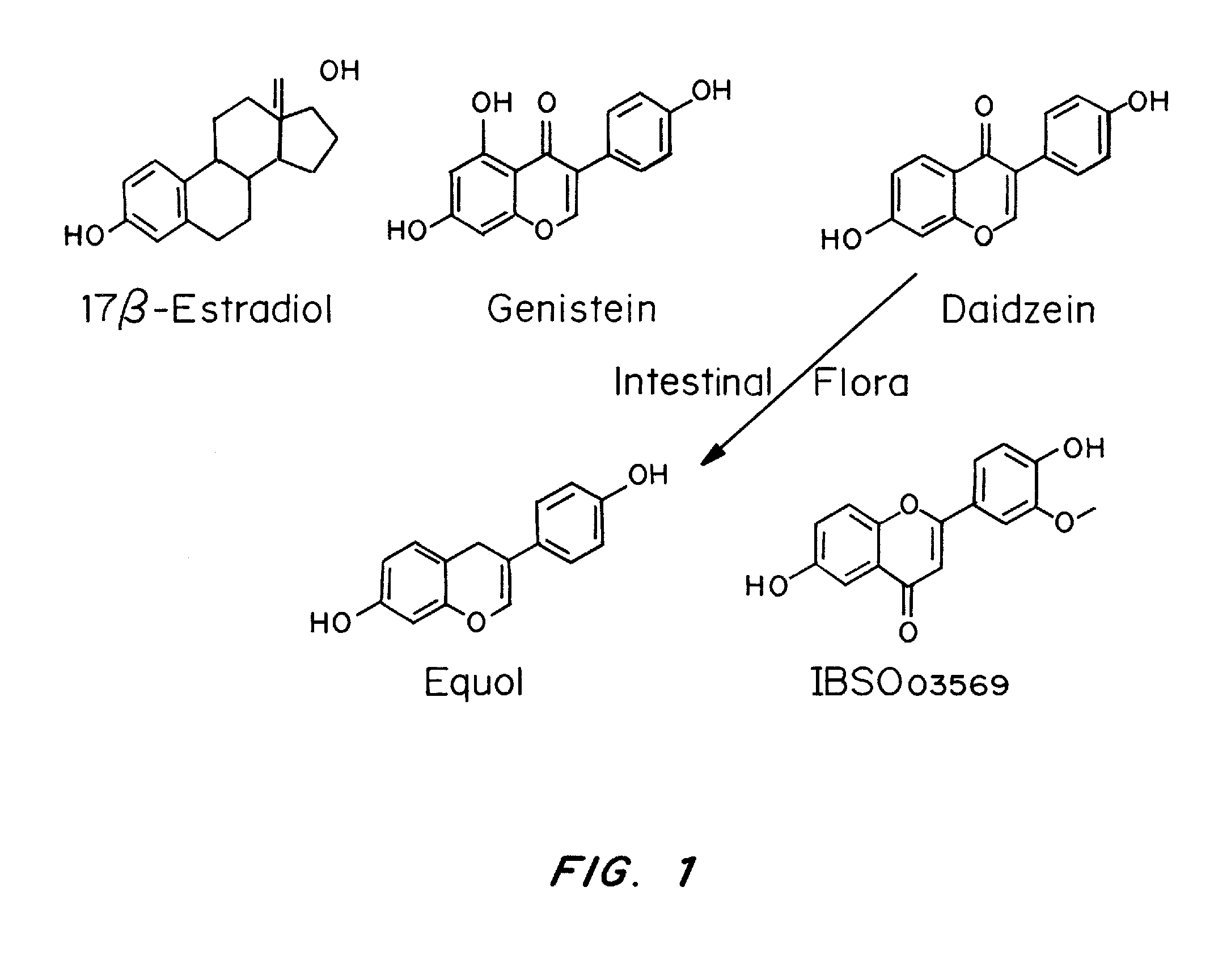 Phytoestrogenic Formulations for Alleviation or Prevention of Neurodegenerative Diseases