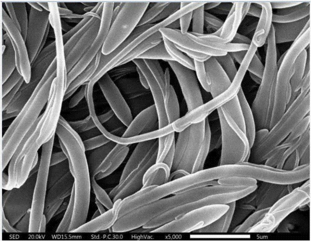 Preparation method for spontaneously-heating elastic nanofiber