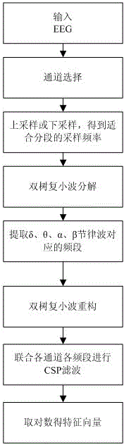 Dual-tree complex wavelet and common spatial pattern combined electroencephalogram characteristic extraction method