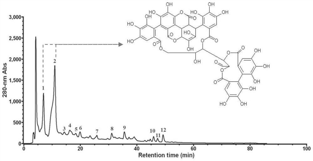 Punicalagin purification method and application of punicalagin in preparation of alpha-glucosidase inhibitor