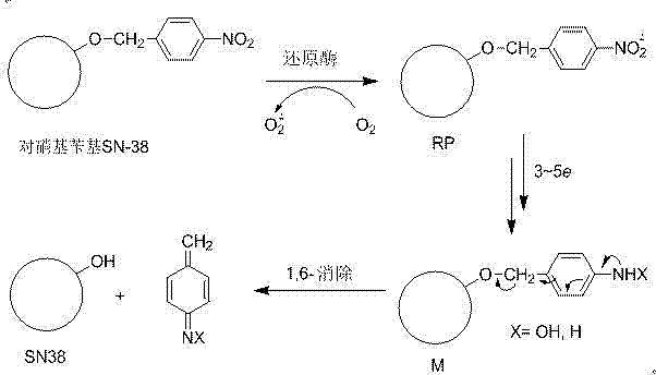 P-nitro aryl methoxycamptothecine anoxic activated prodrug used for antitumor drug