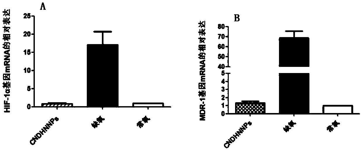 Decitabine nano carrier and application thereof in preparing tumor fluorescence imaging agent