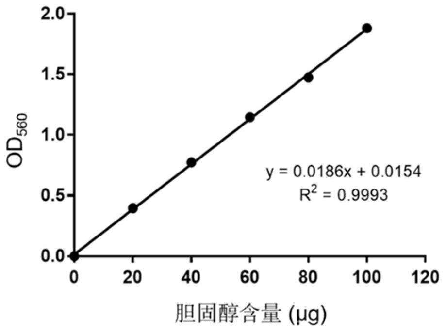 Lactobacillus paracasei for reducing cholesterol and application of lactobacillus paracasei