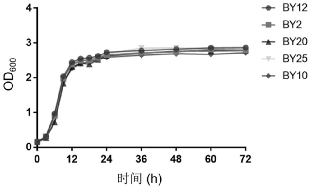 Lactobacillus paracasei for reducing cholesterol and application of lactobacillus paracasei