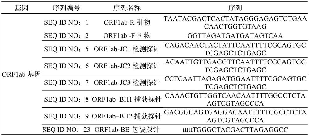 Novel coronavirus nucleic acid chromatography detection kit and application