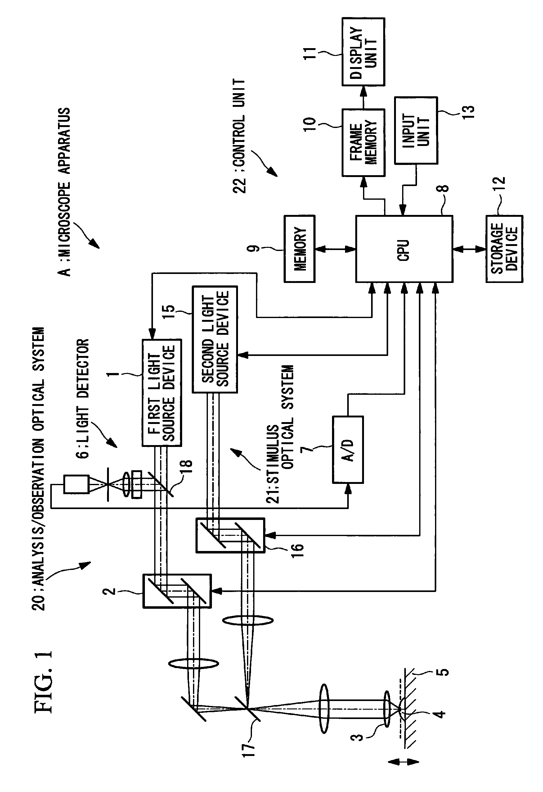 Microscope apparatus and cell observation method