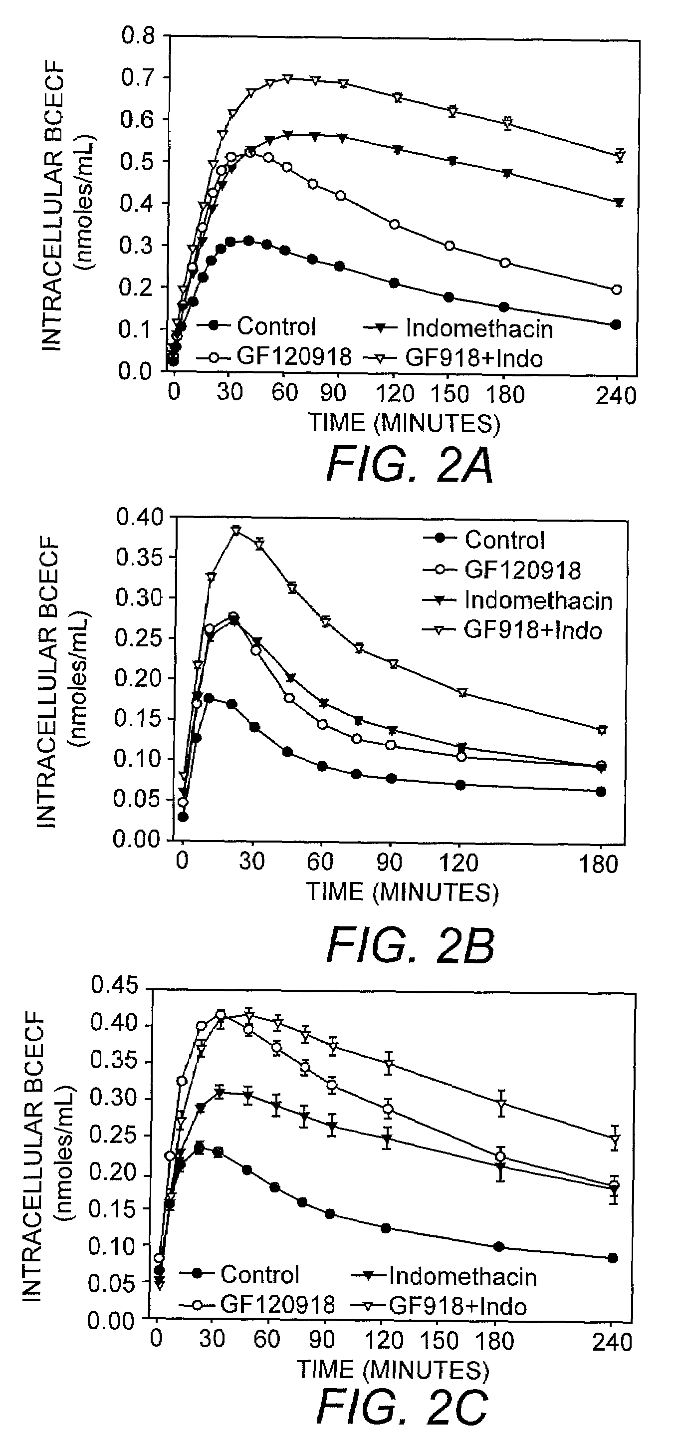 Assay and kit for drug efflux transporter activity