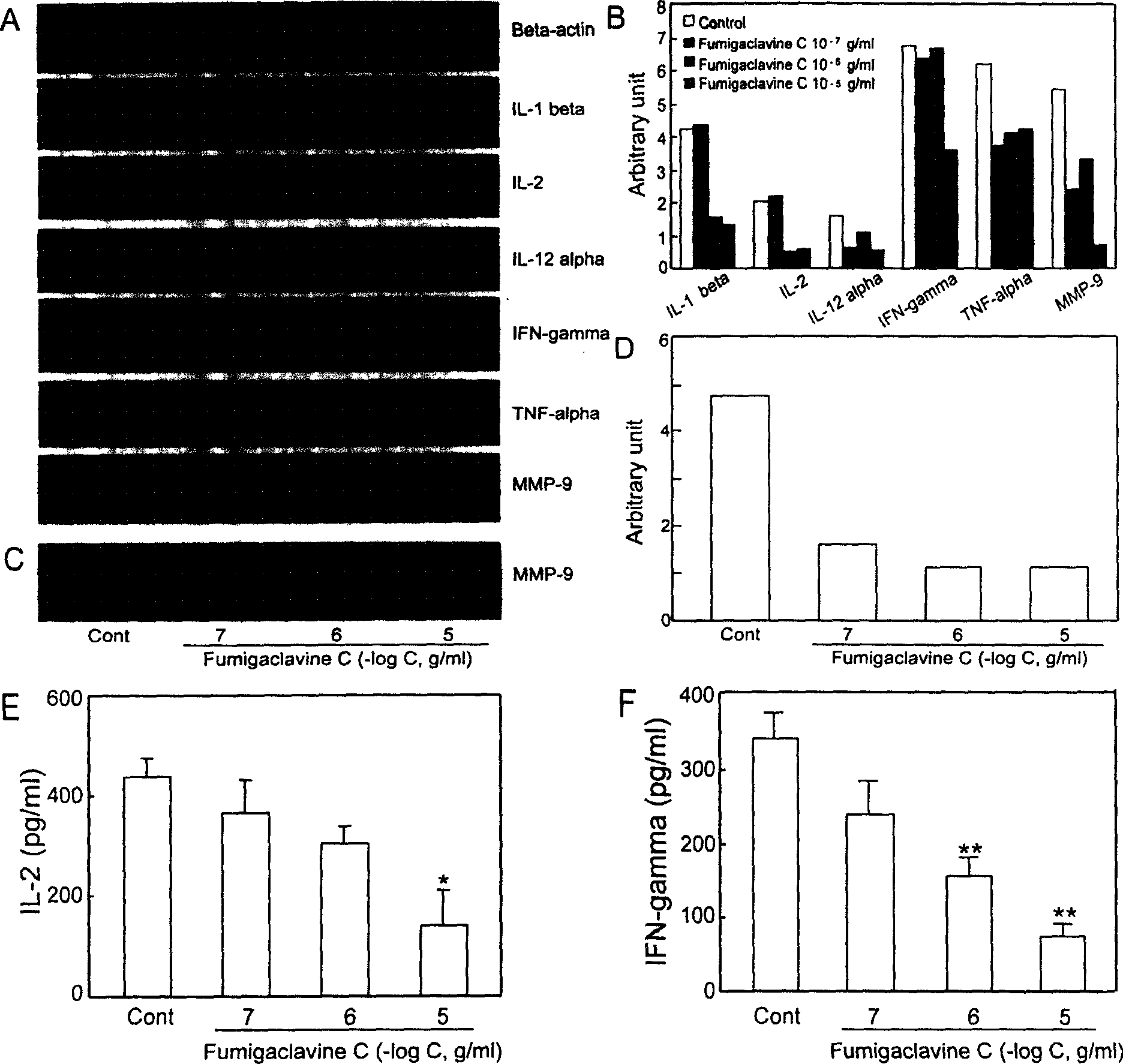 Application of fugillin in treating immunity entiritis and related immunity disease