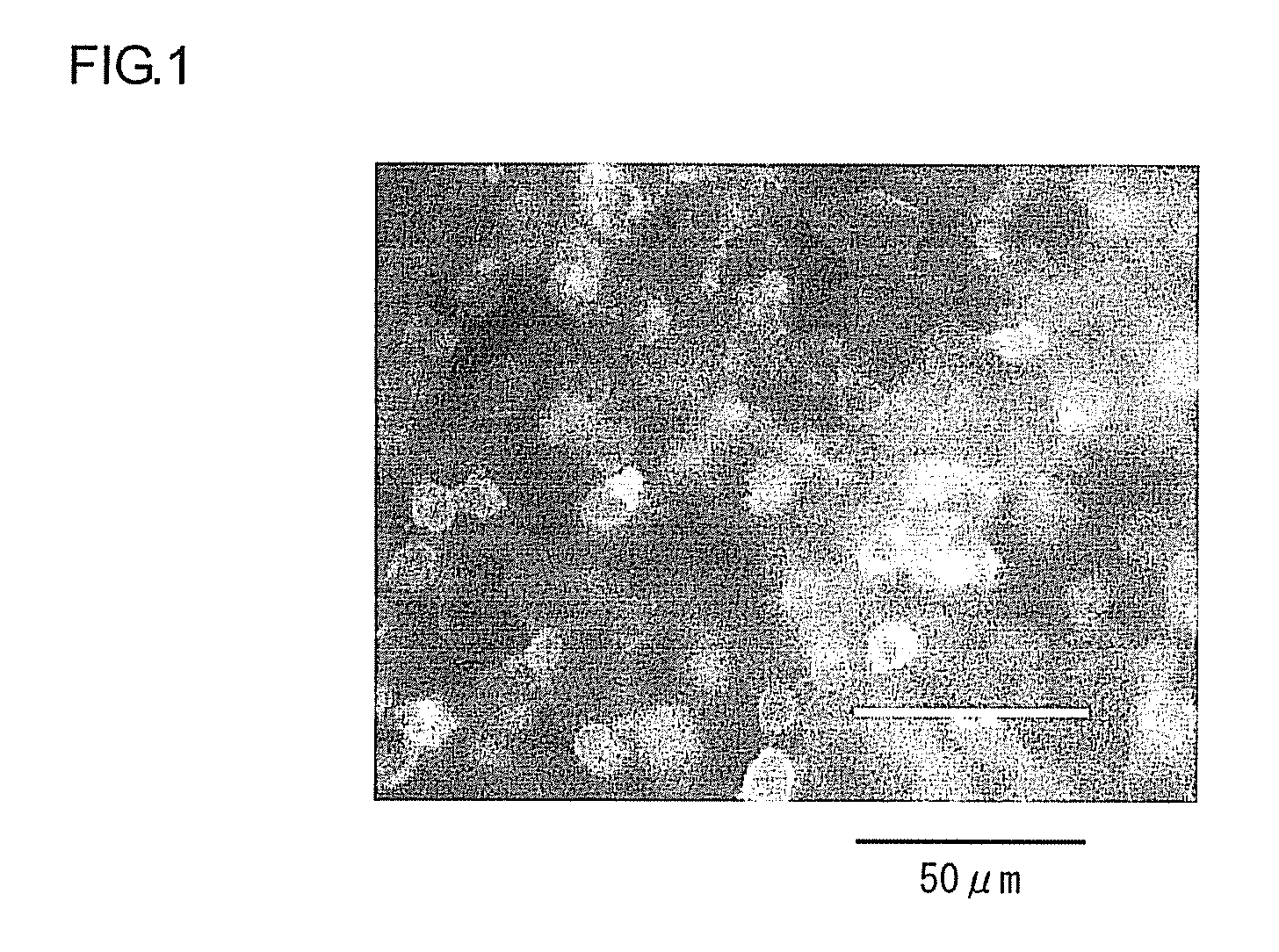 Mesenchymal stem cell and method for production thereof