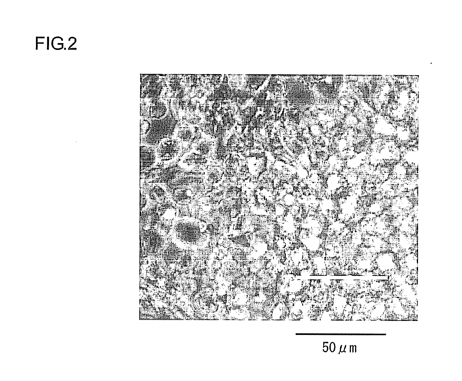 Mesenchymal stem cell and method for production thereof