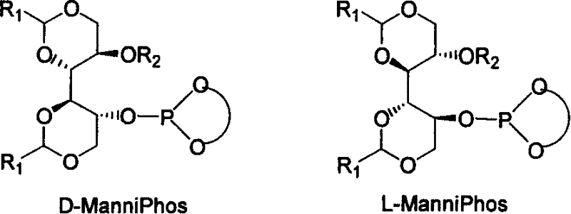 Chiral ligand metal complex catalyst system, and its preparation method and use