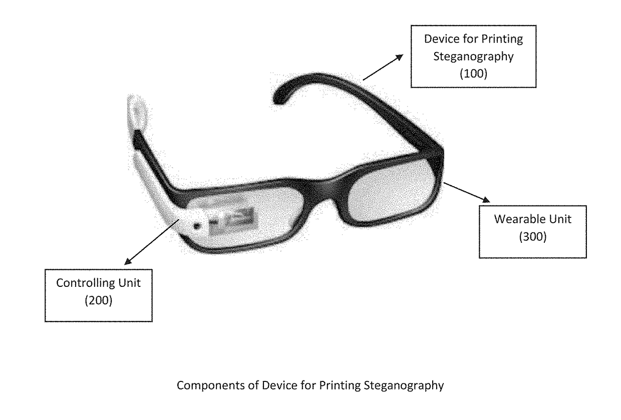 Apparatus and method for printing steganography to assist visually impaired