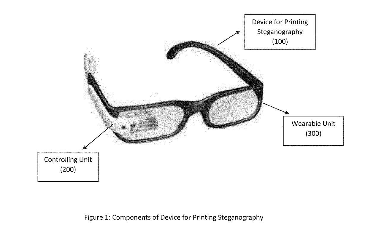 Apparatus and method for printing steganography to assist visually impaired