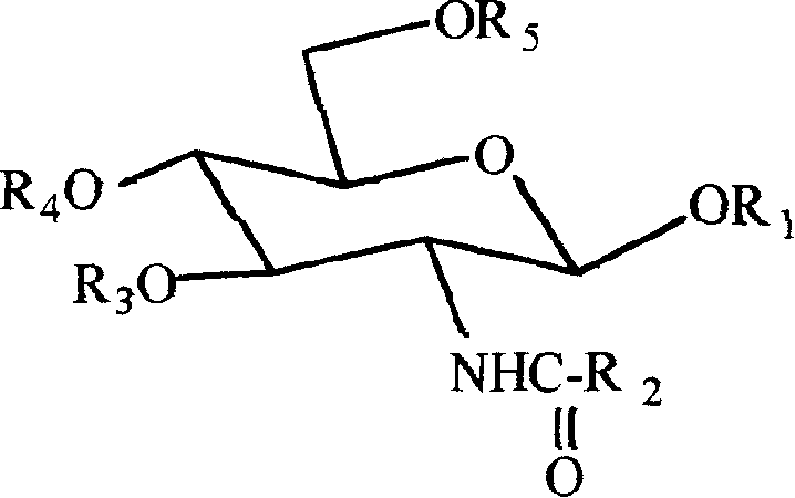 N-acyl amino glucose and its preparation process