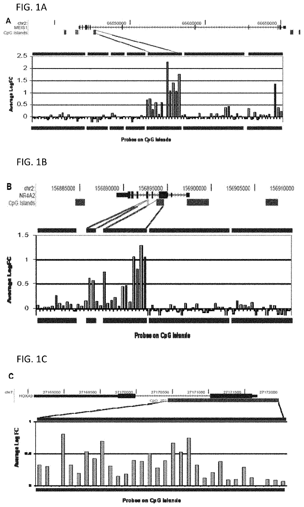 Method of diagnosing bladder cancer