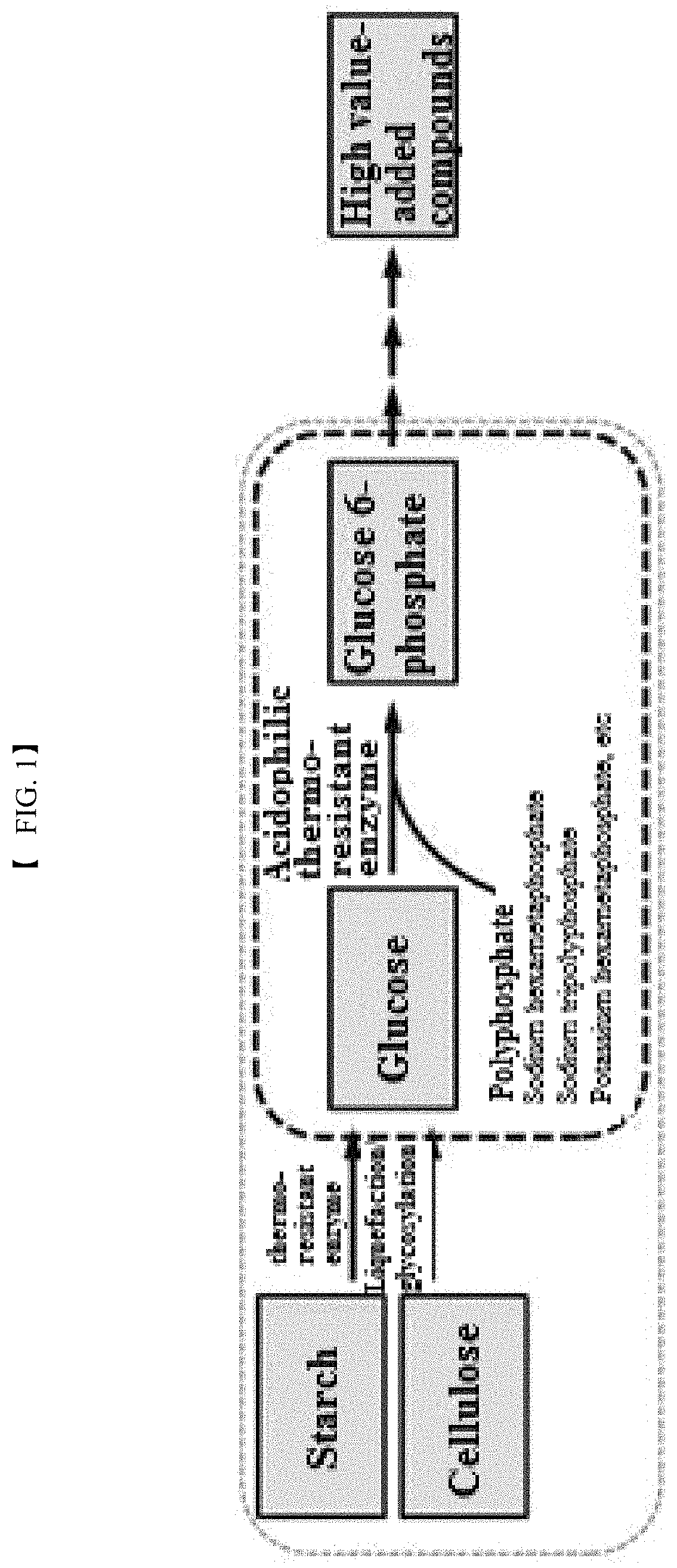 Polyphosphate-dependent glucokinase and method for preparing glucose 6-phosphate by using same