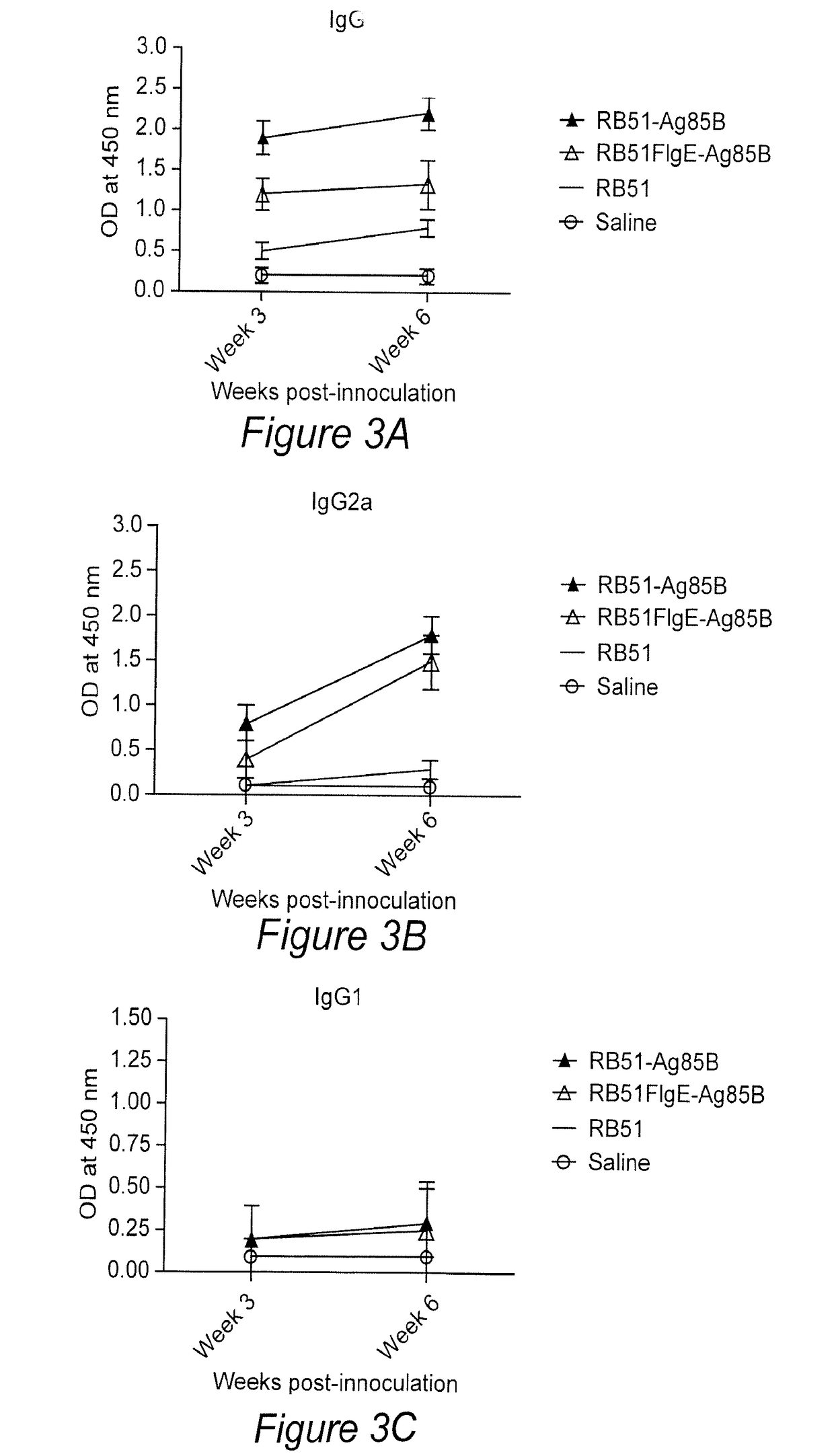 Multivalent brucella vaccine for protection against mycobacterial infections and methods of using the same