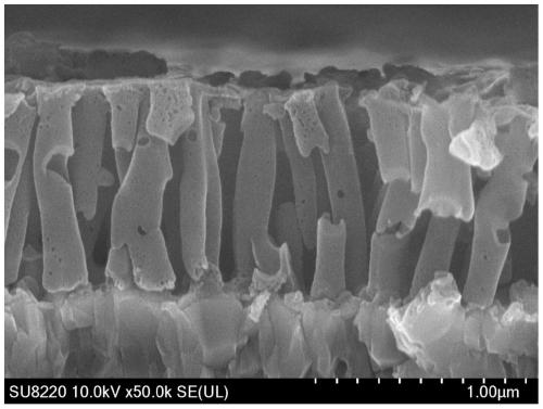 A kind of graphitic carbon nitride nanotube array photoelectrode, its preparation method and application