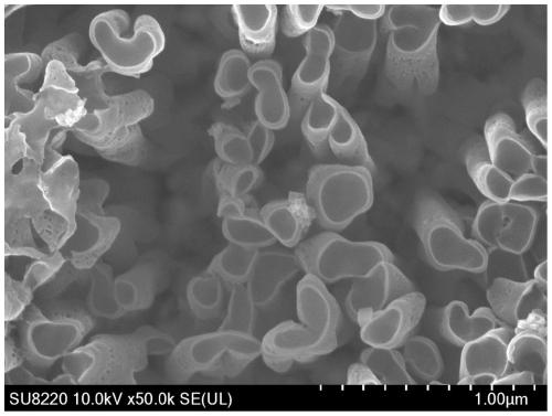 A kind of graphitic carbon nitride nanotube array photoelectrode, its preparation method and application