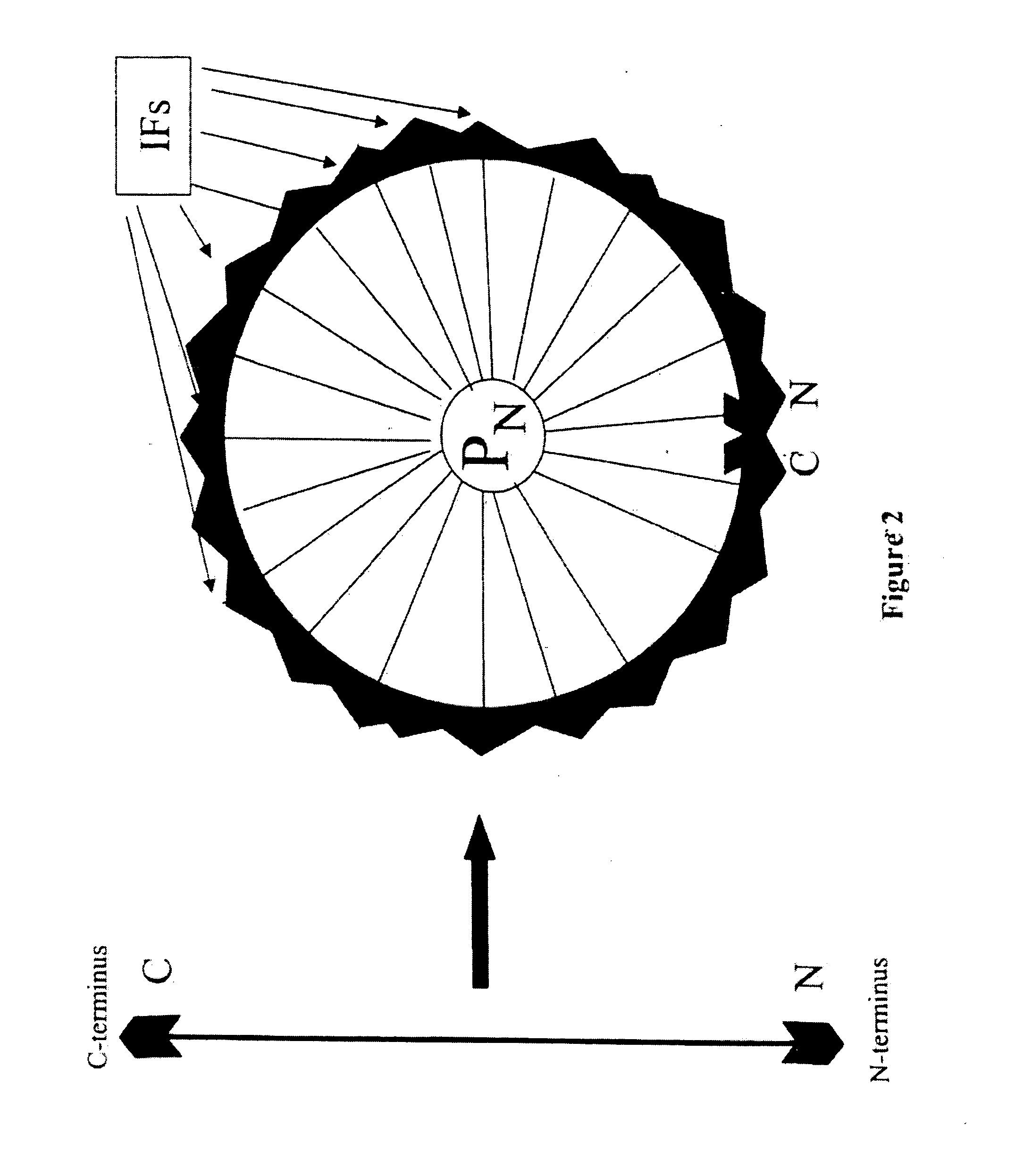 Methods for representing sequence-dependent contextual information present in polymer sequence and uses thereof