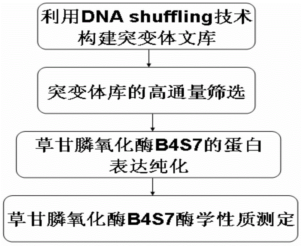 Resistance gene for degrading herbicide glyphosate and coded protein of resistance gene